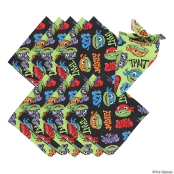 Teenage Mutant Ninja Turtles Bandanas - 12Pk